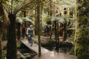 Things to do in Rotorua these school holidays - Mountain Bike Rotorua